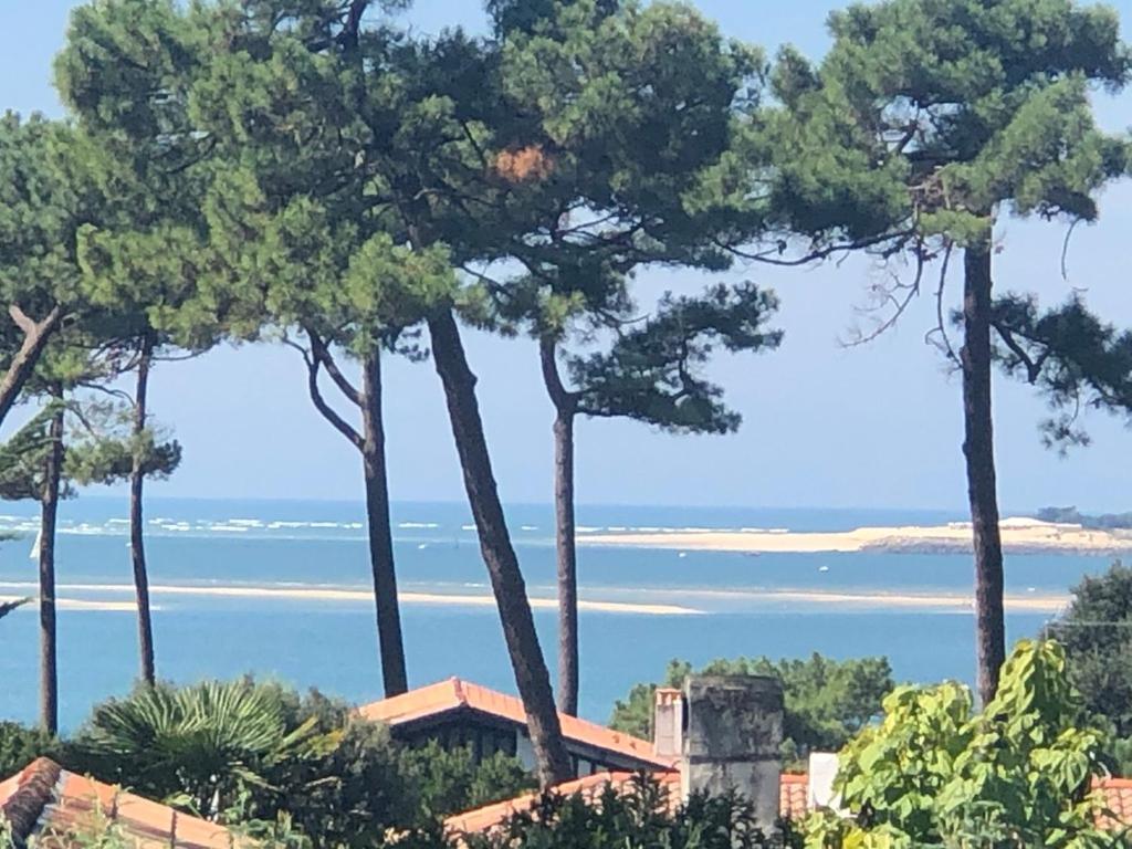 Chambre D'Hotes Pyla Sur Mer La Teste-de-Buch Exterior photo